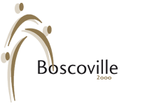 logo_boscoville200-trans